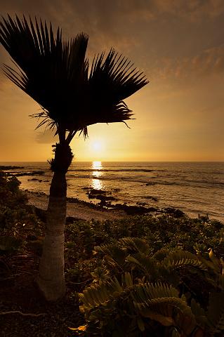 068 Big Island, Kona, Hilton Waikoloa Village.jpg